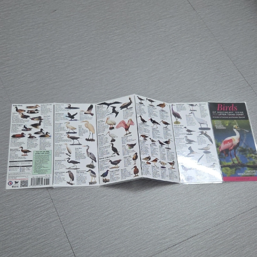 Bird Identification Guide with Pink Cover